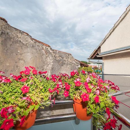 Lavi Apartment Zadar Bagian luar foto